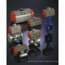 Low Temperature Type Pneumatic Actuator -40~80 Degree Working Temperature